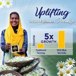 Blue Tea: Turmeric & Ashwagandha Herbal Tea Bags