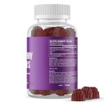 Elderberry Gummies with Vitamins C & Zinc 60 Count