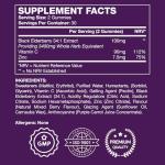 Elderberry Gummies with Vitamins C & Zinc 60 Count