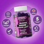 Elderberry Immune Support Gummies | 60 Vegan Gummies