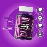 Elderberry Immune Support Gummies | 60 Vegan Gummies