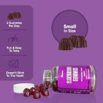 Elderberry Gummies with Vitamins C & Zinc 60 Count