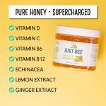 Just Bee Lemon & Ginger Immunity Honey (260g) | Pure natural honey with Vitamin D, C, B6, B12 and Echinacea | Raw and Unpasteurised | Vitamin Rich | For Daily Immune Support