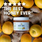 Just Bee Lemon & Ginger Immunity Honey (260g) | Pure natural honey with Vitamin D, C, B6, B12 and Echinacea | Raw and Unpasteurised | Vitamin Rich | For Daily Immune Support
