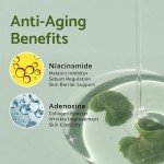 IUNIK Tea Tree Vegan Facial Serum for Clear Skin