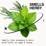 Pacifica Rosemary Kombucha Scalp Smoothie Conditioner