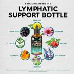 Organic Lymphatic Support Drops with Echinacea & Elderberry