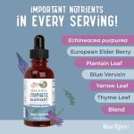 MaryRuth's Vegan Lymphatic Support Drops, 30 Servings