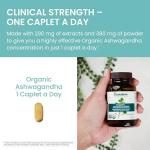 Himalaya Organic Ashwagandha Root Adrenal Support