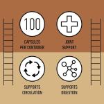 Pure Organic Turmeric Capsules for Liver Health