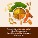 High Potency Vegan Turmeric Curcumin Capsules