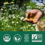 Organic India Memory Herbal Supplement for Clarity