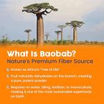 NativePath Organic Baobab Fiber Powder - Orange Flavor
