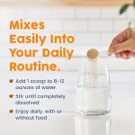 NativePath Organic Baobab Fiber Powder - Orange Flavor