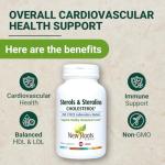 Plant Sterols & Omega-3s Supplement with Flaxseed