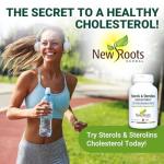 Plant Sterols & Omega-3s Supplement with Flaxseed