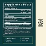 Gaia Herbs Vitex Berry for Hormone Balance