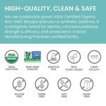 Himalaya Bacopa Monnieri Herbal Supplement for Memory