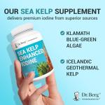 Dr. Berg Sea Kelp Iodine Capsules - 90 Count