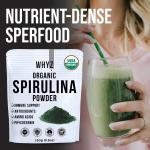WHYZ Organic Spirulina Powder - Vegan Protein Boost
