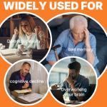 Vegan Brain Boost: Focus, Clarity, and Memory