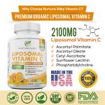 Nurture Alley Vegan Liposomal Vitamin C 2100mg