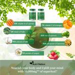 Moringa Capsules 10,000mg – 120 Organic Capsules