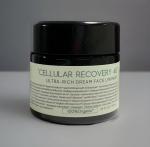 Organic28+ Ultra-Rich Dream Face Cream