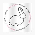 Retinol Night Serum. Treatment for Fine Lines, Wrinkles, Sun spots Nontoxic Skin