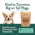Portland Pet Food Company Pumpkin Dog Treats Healthy Biscuits for Small Medium & Large Dogs - Grain-Free, Human-Grade, All Natural Cookies, Snacks & Puppy Training Treats - Made in The USA - 5 oz