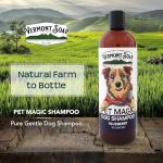 VERMONT SOAP Organics Pet Shampoo - Infused with Organic & Natural Olive Oil, Coconut & Aloe Vera Dog Shampoo for Sensitive Skin - USDA Certified Grooming Pet Shampoo - Blueberry (16oz)