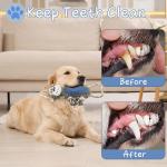 BUYPOW Squeaky Plush Dog Chew Toy - Monkey