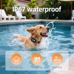 Remote Dog Training Collar for Medium to Large Dogs