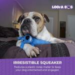 Loofa Dog Plush Toy - Squeaky and Soft