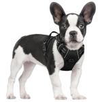 Rabbitgoo No Pull Dog Harness with 2 Clips