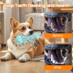 Wodoca Plush Chew Toys with Rope and Squeaker