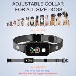 Remote Dog Training Collar for Medium to Large Dogs