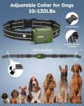 Jugbow Remote Dog Training Collar for 2 Dogs