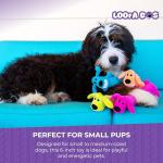 Loofa Dog Plush Toy - Squeaky and Soft
