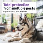 Amazon Basics Flea and Tick Treatment for Dogs