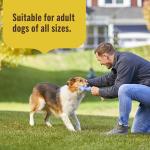 Nutrish Lamb Meal & Brown Rice Dog Food 28 lb