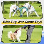 Durable Dog Rope Toys for Heavy Chewers – 5 Pack