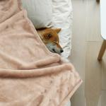 Onarway Washable Dog Blanket Set - 4 Pack