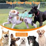 Wodoca Plush Chew Toys with Rope and Squeaker