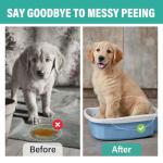 Dog Potty Training Spray for Indoor and Outdoor Use