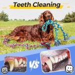 Durable Dog Rope Toys for Heavy Chewers – 5 Pack