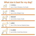 Amazon Basics Collapsible Travel Dog Crate, XL