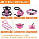 LOBEVE No Pull Dog Harness, Leash & Accessories Set