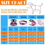 LOBEVE No Pull Dog Harness, Leash & Accessories Set