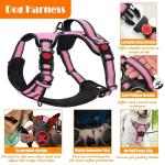 LOBEVE No Pull Dog Harness, Leash & Accessories Set